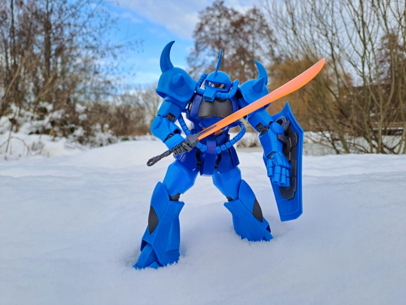 Gouf in de sneeuw
