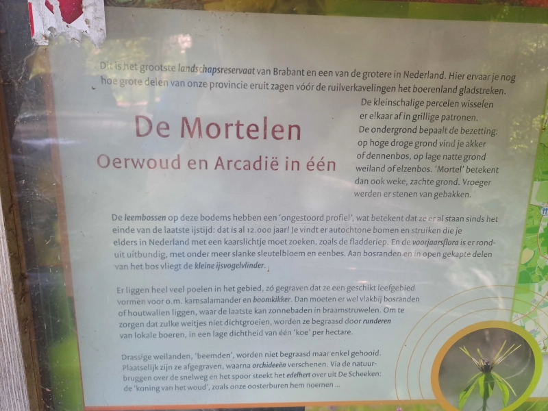 De Mortelen bordje